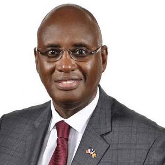Hon Bright Rwamirama